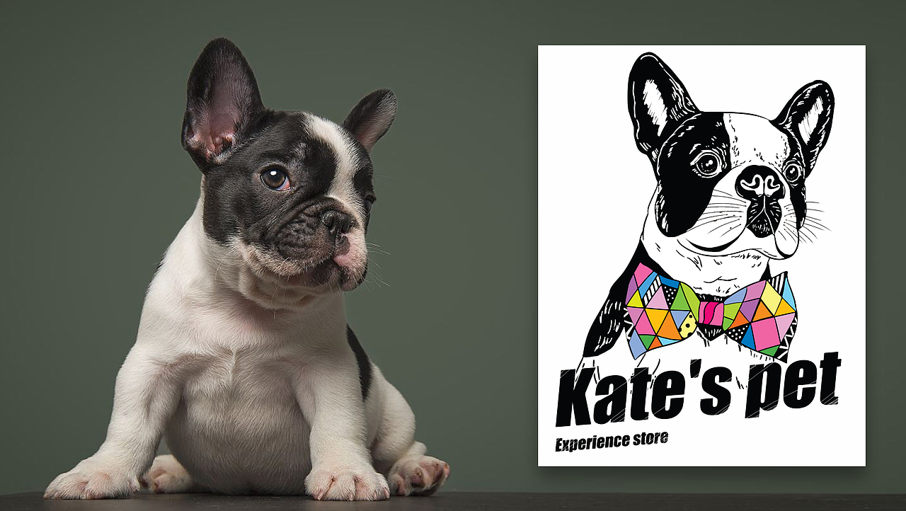 凯特宠物生活馆VI/CI设计（图ZODc4ODIxNzY=） - 品牌 - 站酷设计师尹寅111原创素材 - 站酷ZCOOL
