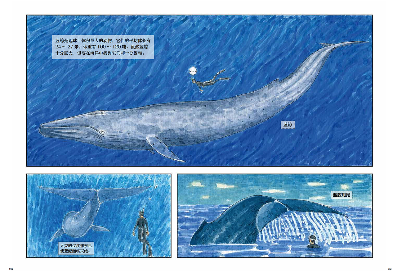 绘本海洋动物插画