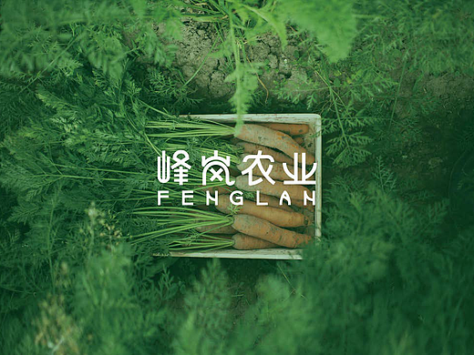 峰岚农业 品牌升级VI设计