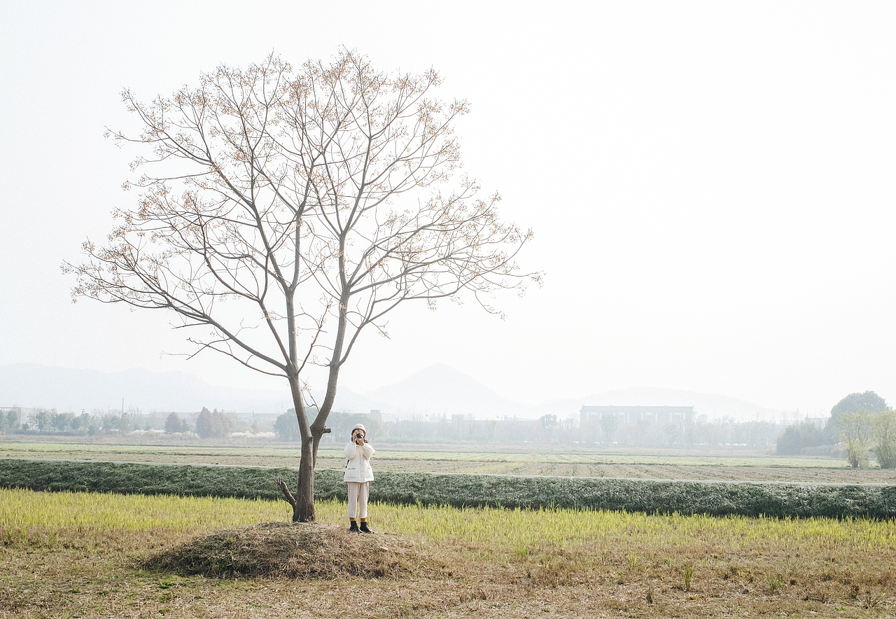 良渚遗址公园里的一棵树