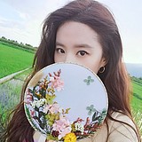 格子不鸽O的头像