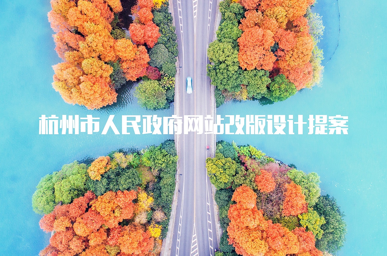 阿里-杭州市政府官方网站设计