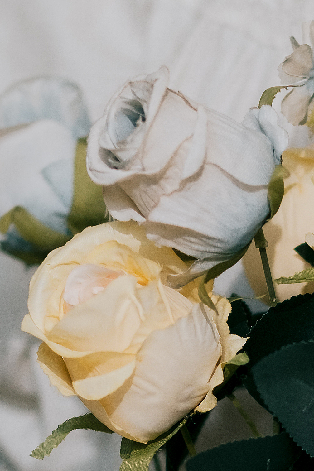 塞纳（图ZMjQxMzUwMjc2） - 人像摄影 - 站酷设计师单梨_原创素材 - 站酷ZCOOL