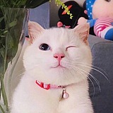 曹小葵ch的头像