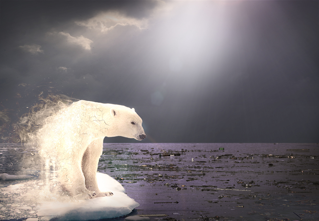 环保题材海报 - 原创作品 - 站酷(zcool)