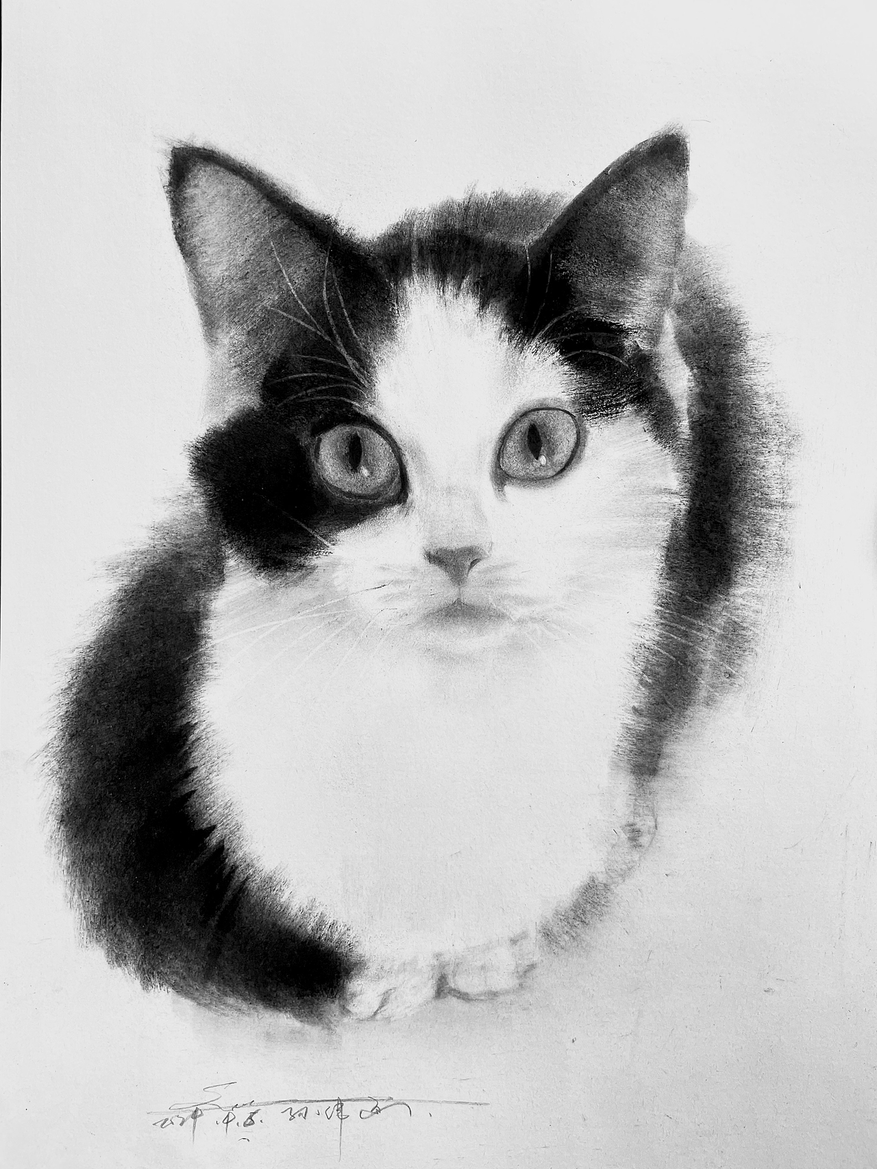 黑白插画也可以很好看不是吗？