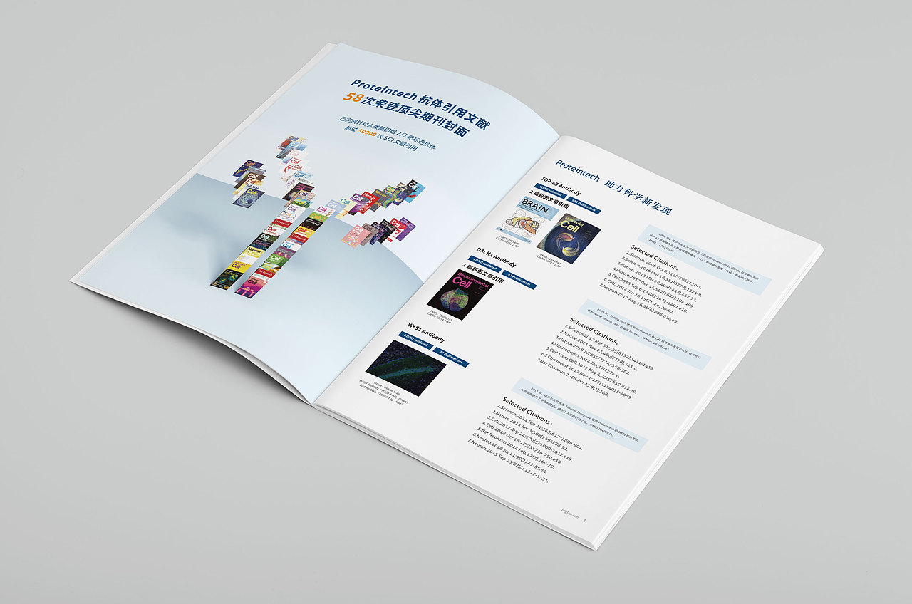 畫冊(cè)（圖ZMTgwNjY1MDA4） - 書籍/畫冊(cè) - 站酷設(shè)計(jì)師派大星的海秒寶寶原創(chuàng)素材 - 站酷ZCOOL