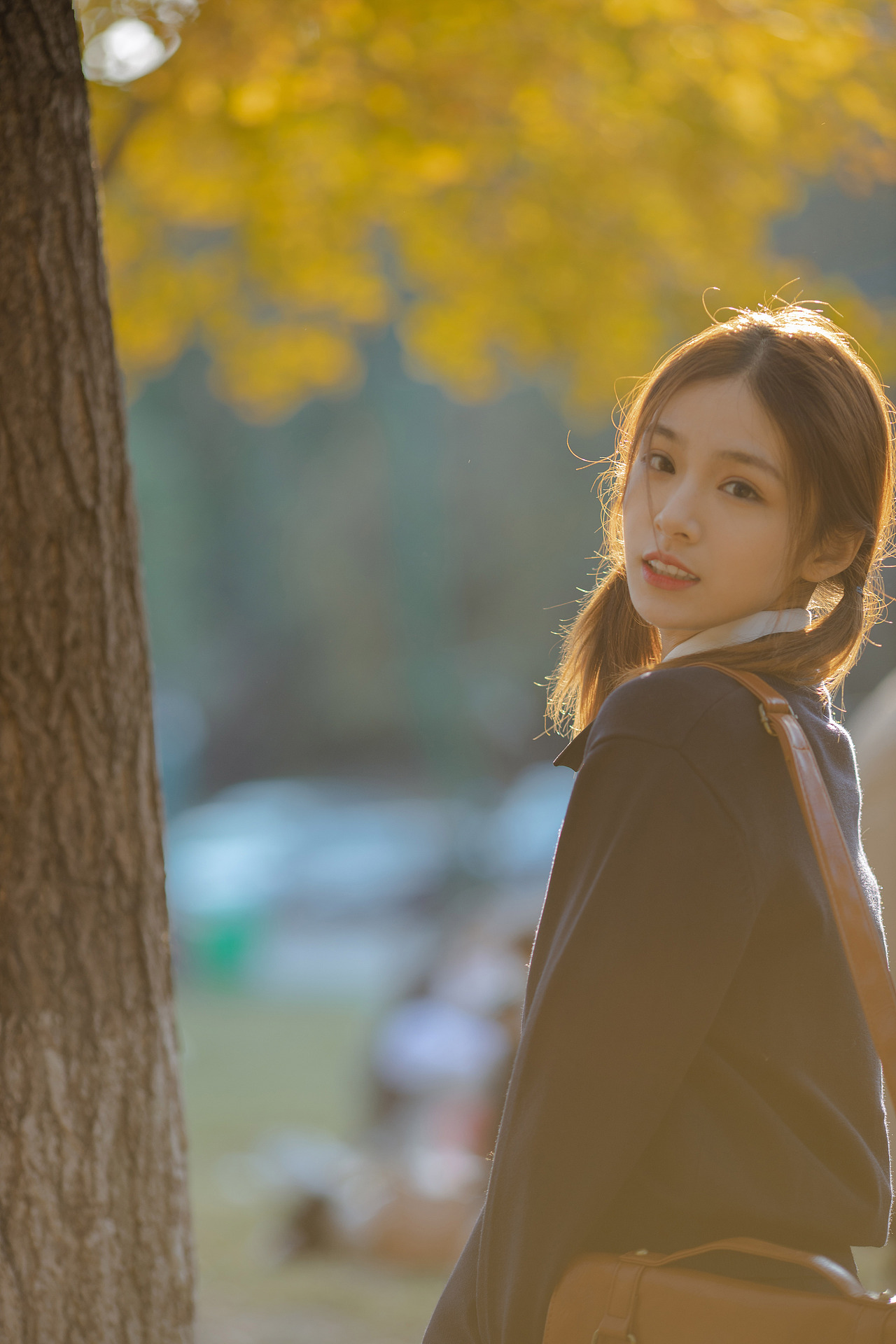 一起去看银杏吧