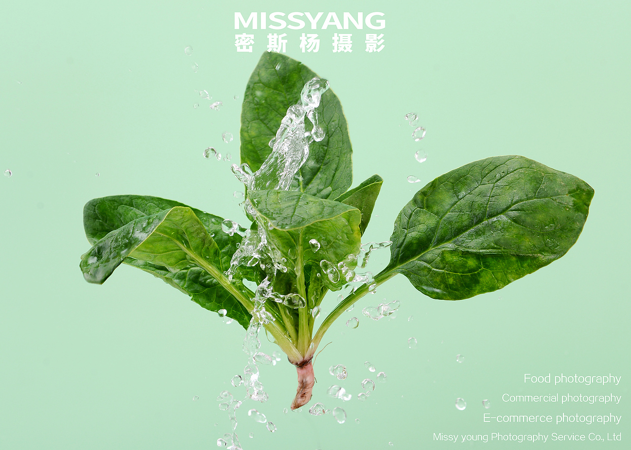 美食拍摄|食品拍摄|电商摄影|产品摄影×郑州密斯杨