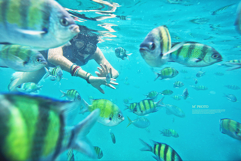 || 設計眼光去攝影 || 马来西亚