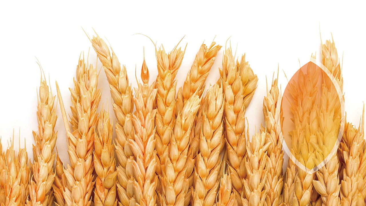 农资包装设计（图ZMjkwNjQzOTc2） - 包装 - 站酷设计师1117er原创素材 - 站酷ZCOOL