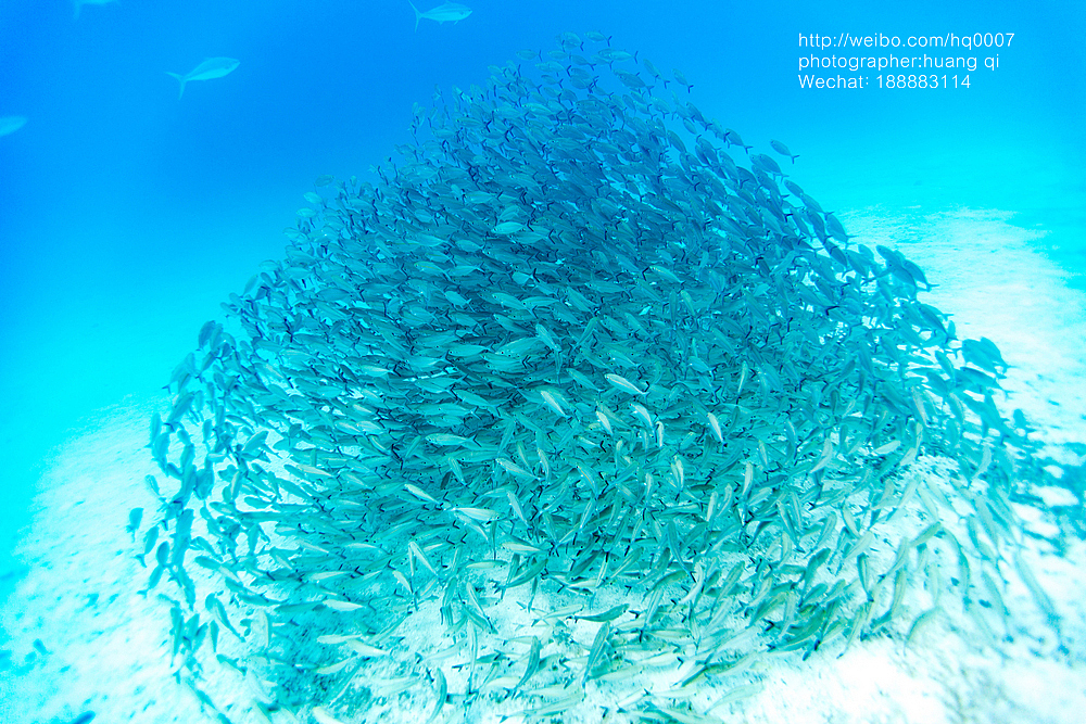 水下摄影（图ZNDUxNTYzODg=） - 人像摄影 - 站酷设计师摄影师黄棋原创素材 - 站酷ZCOOL