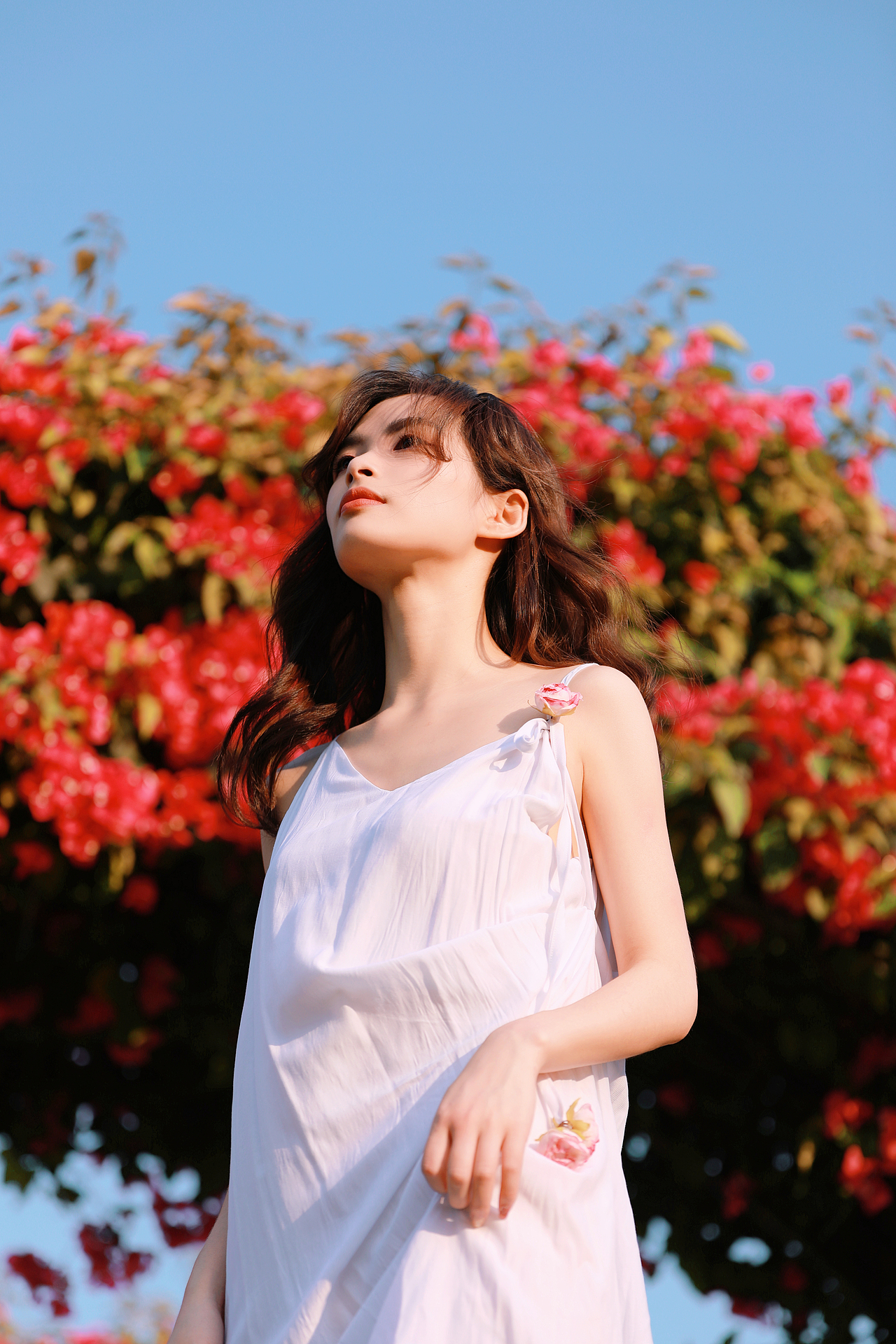 簕杜鹃（图ZMzA3ODU4MDQ4） - 人像摄影 - 站酷设计师朱朱君呀原创素材 - 站酷ZCOOL