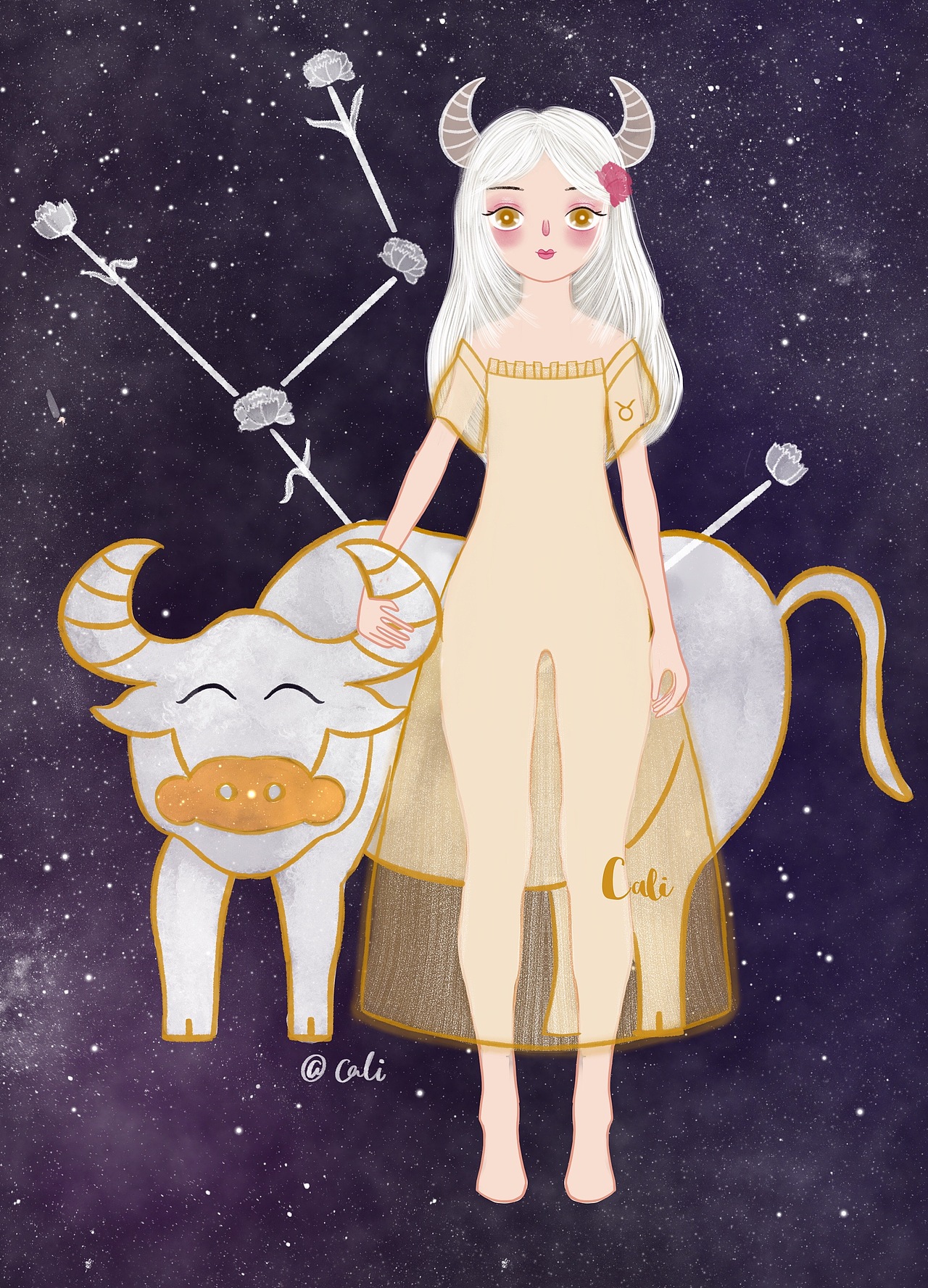 首个系列原创|星座女孩