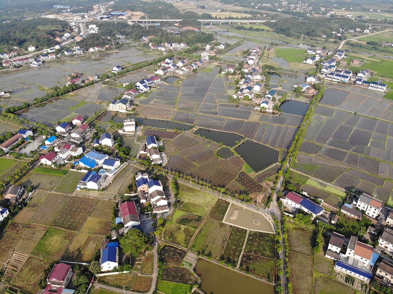 湖南攸县农业旅游