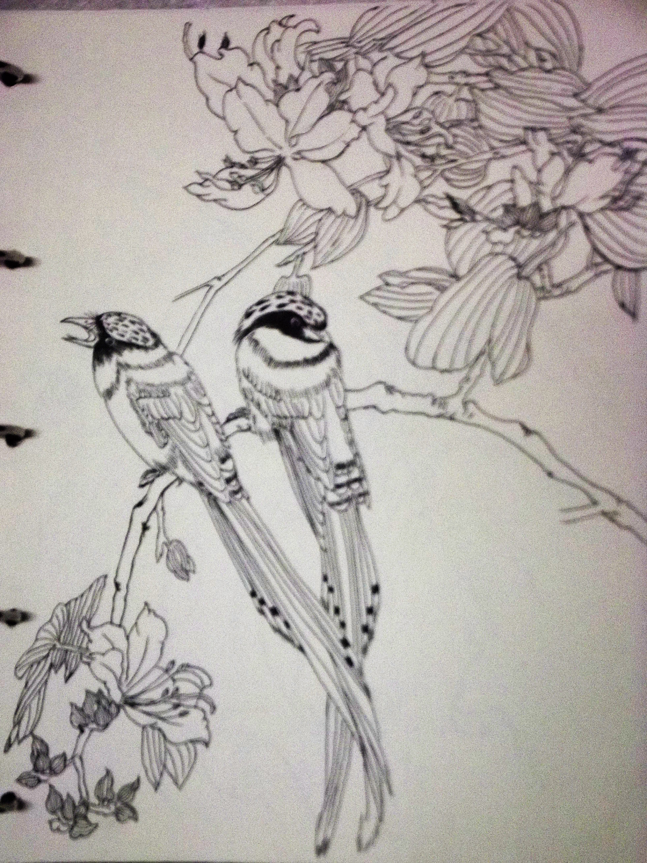 钢笔速写（图ZNTk1NjMyMjQ=） - 艺术插画 - 站酷设计师甲甲玲原创素材 - 站酷ZCOOL