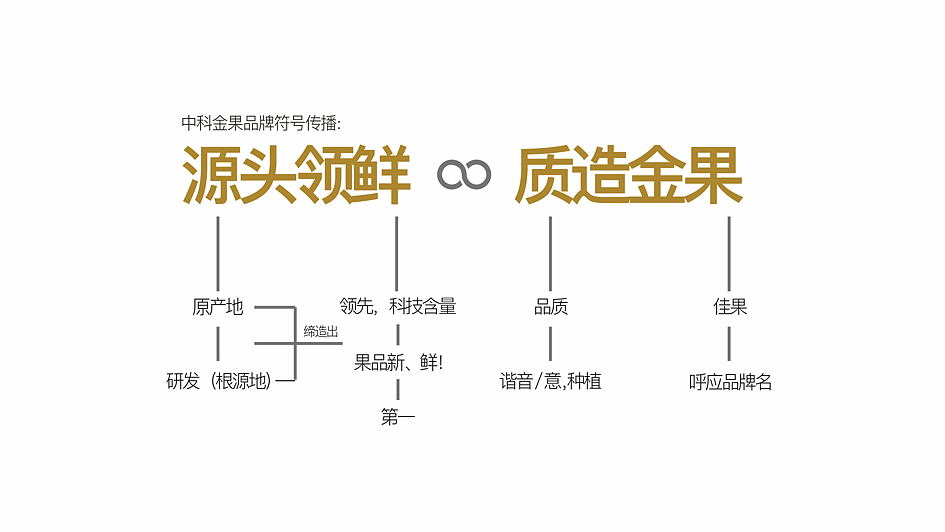 中科金果VIS设计