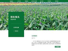 网页