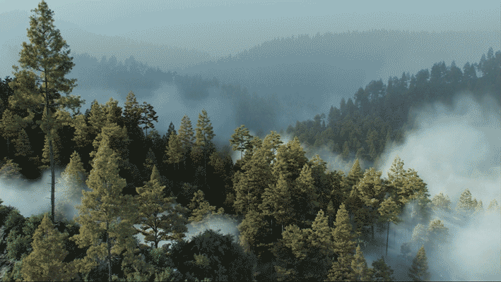 SKYWORTH-S82（图ZMjc2MDgwMDky） - 动画/影视 - 站酷设计师chiudesign原创素材 - 站酷ZCOOL