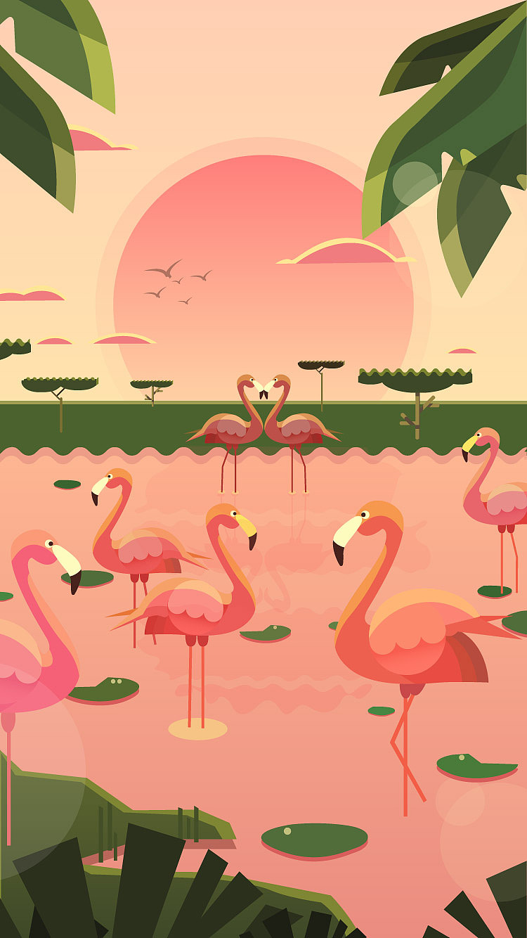 插画_火烈鸟