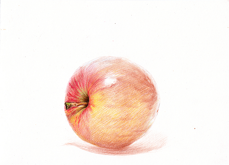 纸上彩铅--《苹果》随录 扫描版