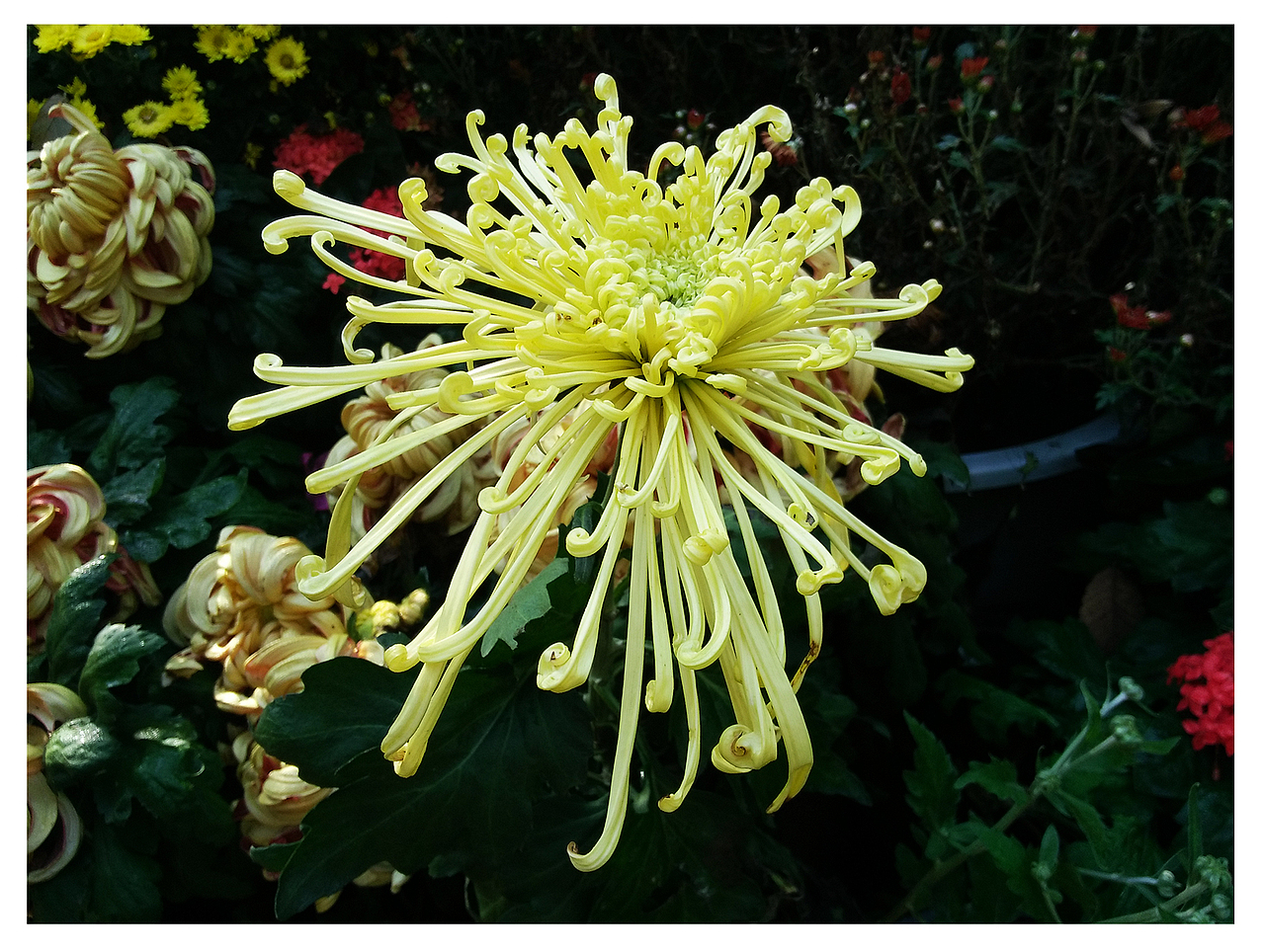 《平凡·小生活》（图ZNjA5MDA3ODg=） - 风光摄影 - 站酷设计师黑白七分之一原创素材 - 站酷ZCOOL