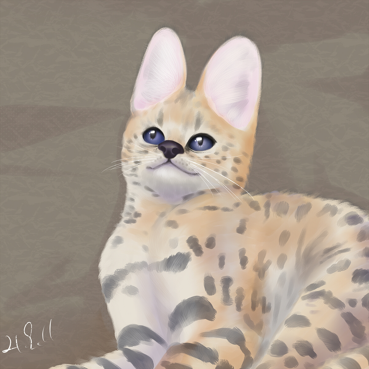 每天画一只小可爱（图ZMjcwMzI5ODM2） - 创作习作 - 站酷设计师卷不起来的HSQ原创素材 - 站酷ZCOOL