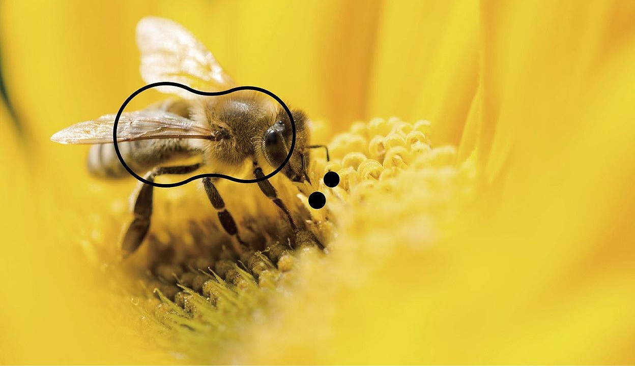 小蜜风-儿童乐园品牌设计