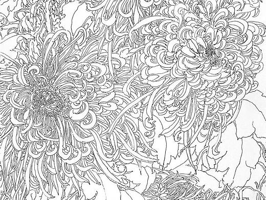 写生中的线之美