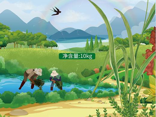 东北糯米