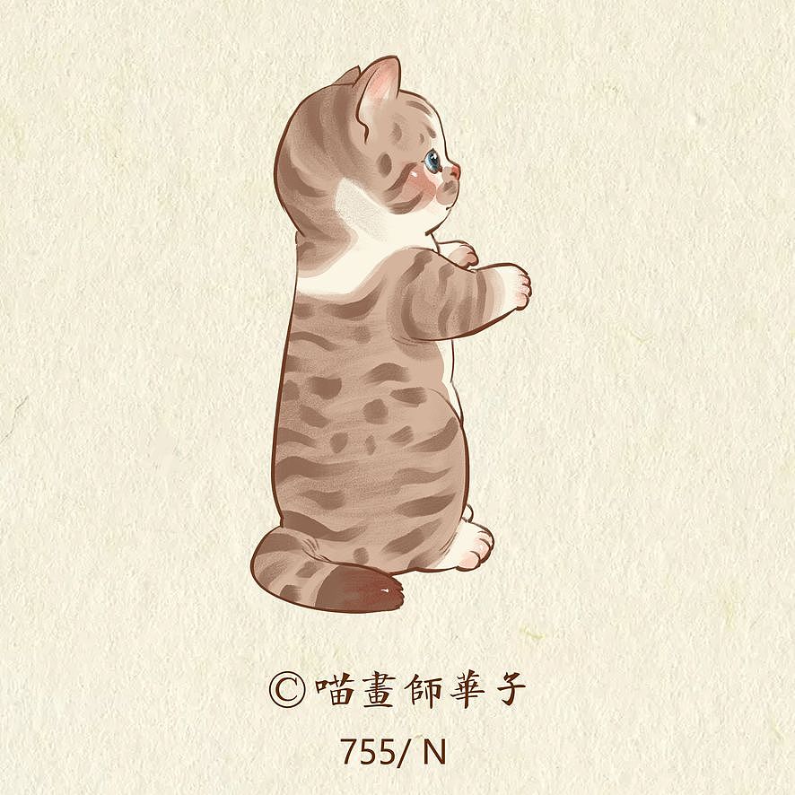 画猫的第三季100天，七百八十七天画猫纪录！（图ZMjIxOTE0MDg4） - 艺术插画 - 站酷设计师喵画师华子原创素材 - 站酷ZCOOL