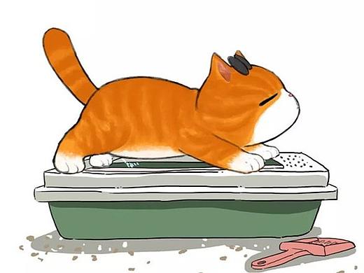 人有十八般武艺，猫有N多BB姿势
