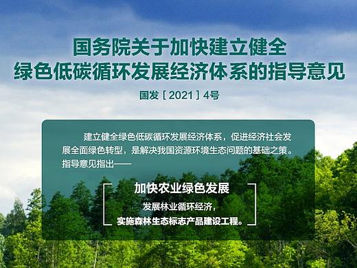 网站首页banner轮播图