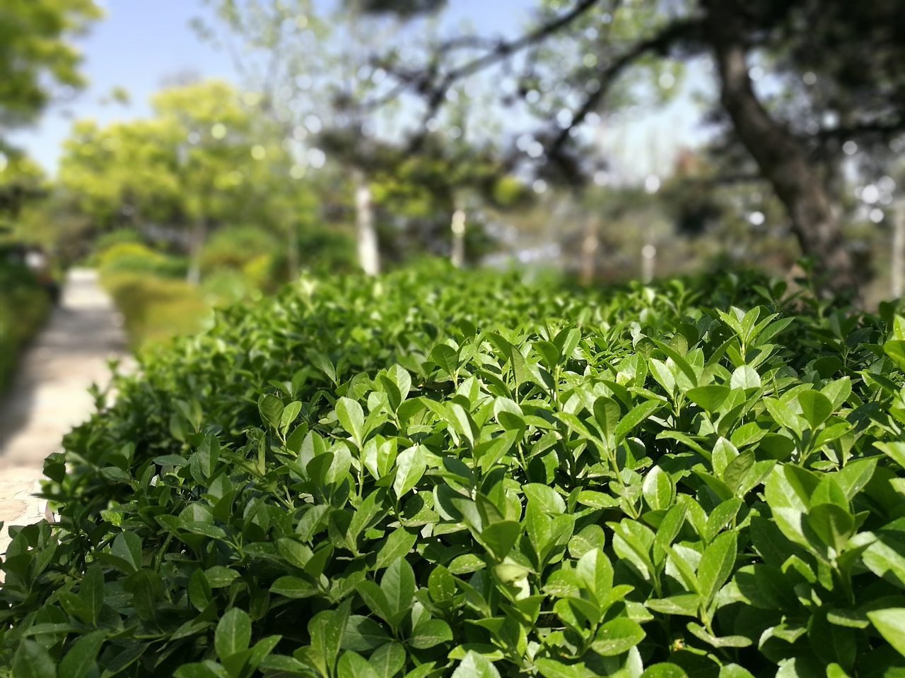 摄影（图ZNzkwMzkwMTI=） - 风光摄影 - 站酷设计师CearyQi原创素材 - 站酷ZCOOL