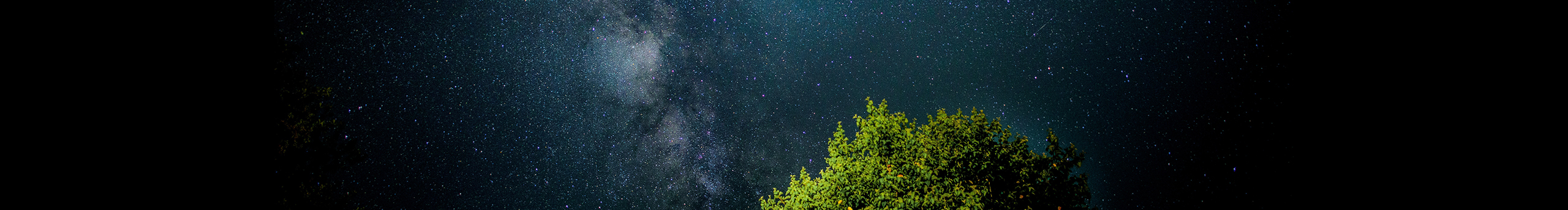 kici可的个人主页（封面预览） - 主页封面设置 - 站酷设计师kici可原创素材 - 站酷ZCOOL