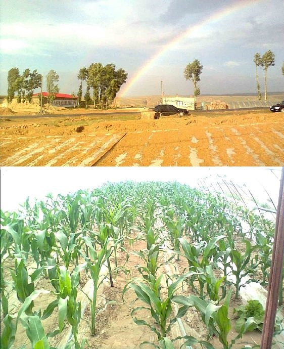 下乡种田 太阳能发电 2011 03 我当农民的那些日子（图ZMjcxNjQ1NzQw） - 人文/纪实摄影 - 站酷设计师森林会展原创素材 - 站酷ZCOOL