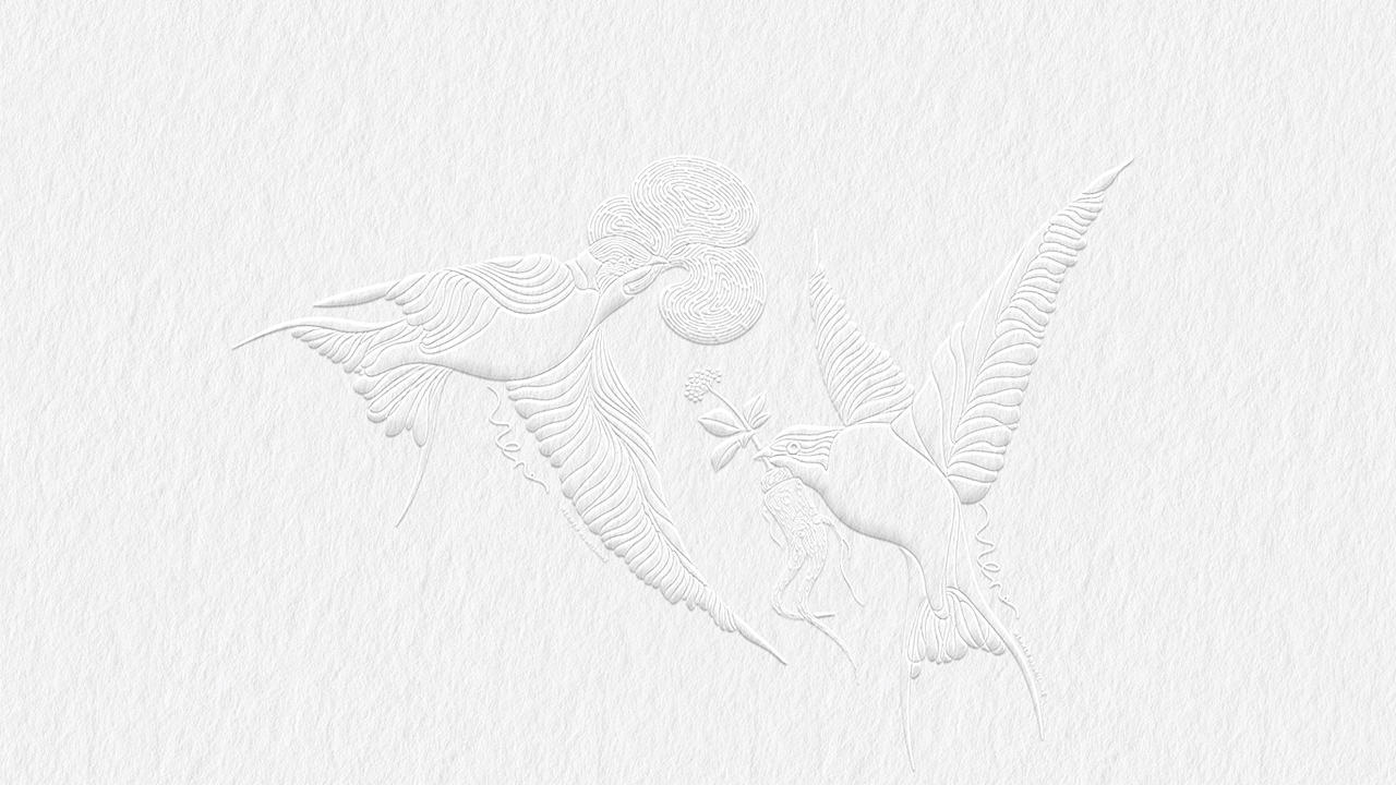 有所同/有所不同/温温补品