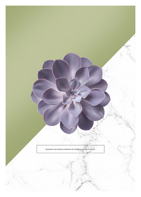小清新，简约，（图ZMjYxOTQ1MzA0） - 家装设计 - 站酷设计师华雅诗小叶原创素材 - 站酷ZCOOL