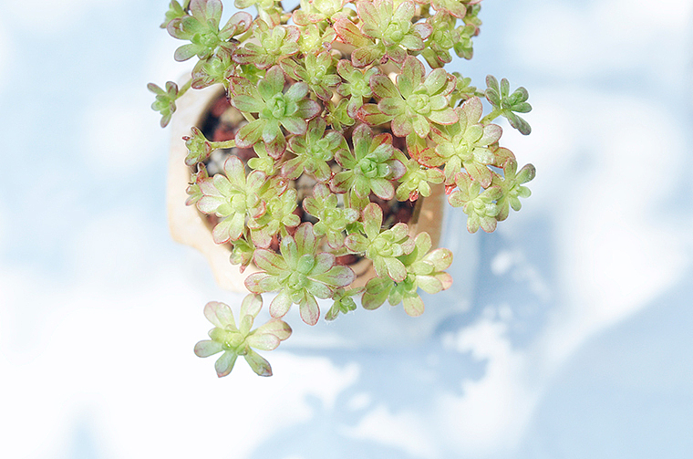 无尽夏（图ZMTE2ODI2MTgw） - 风光摄影 - 站酷设计师印记漫书原创素材 - 站酷ZCOOL