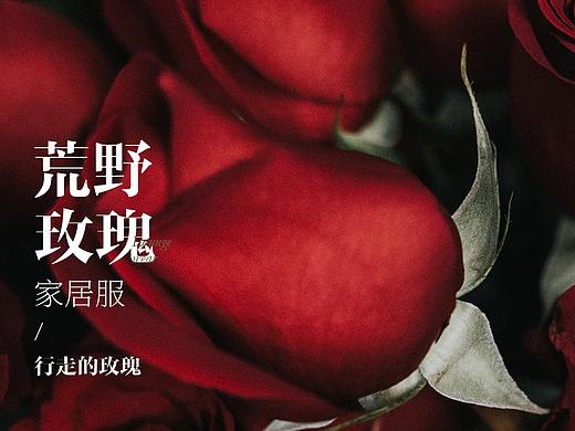 Harper's BAZAAR荒野玫瑰家居服