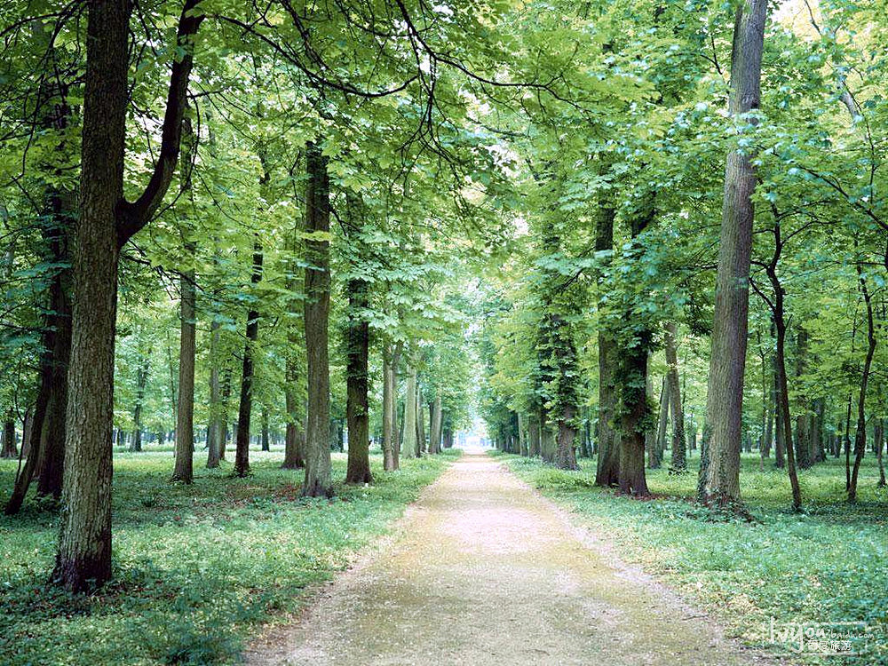 吴江旅游美景美图