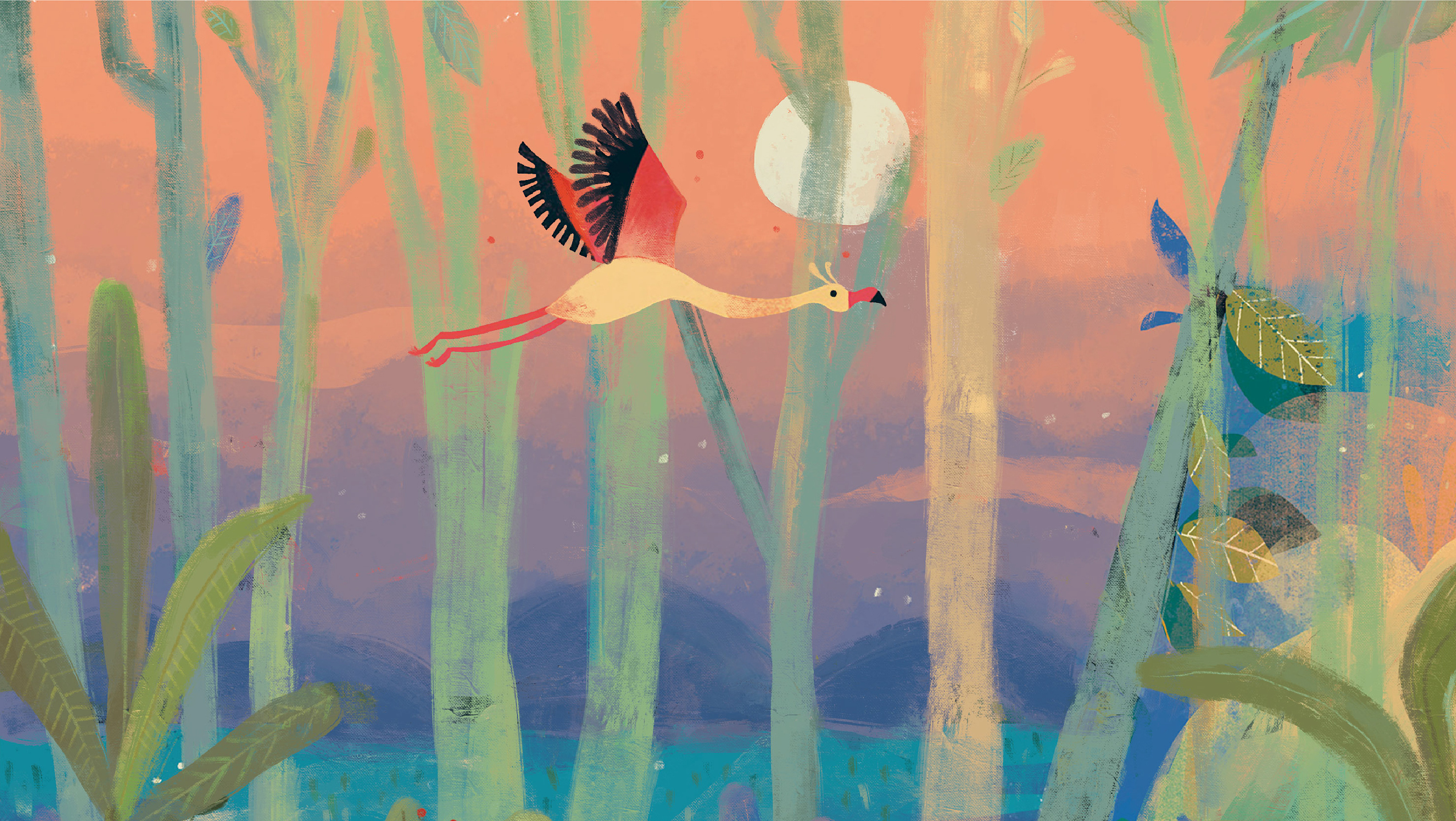 绘本_《鸵鸟的故事》