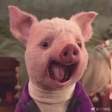 向靖琪xjq的头像