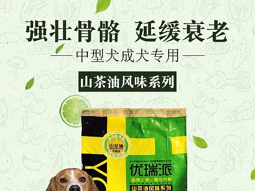 狗粮详情