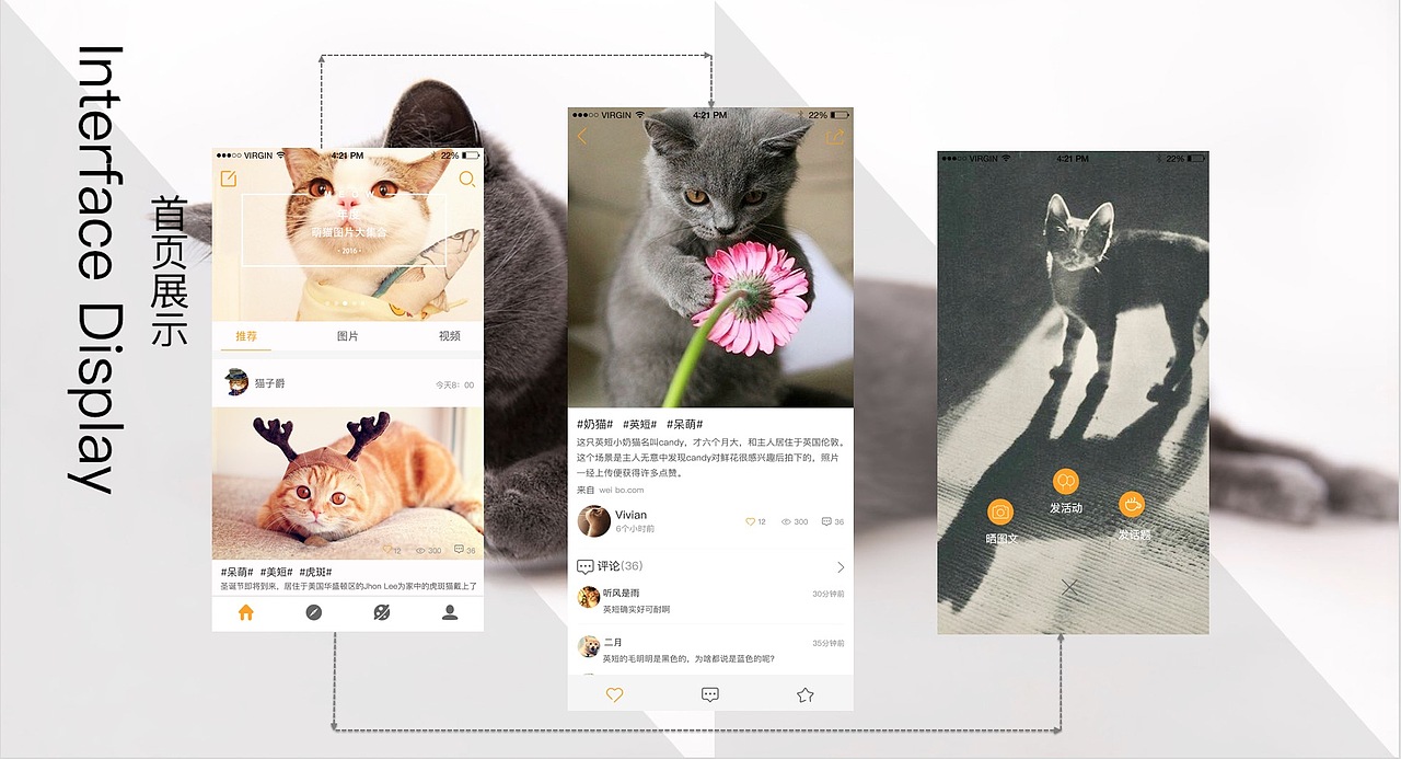 喵呜APP（图ZNzQ4MDAxODQ=） - APP界面 - 站酷设计师白鱼非羽原创素材 - 站酷ZCOOL