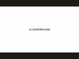 北大資源地產(chǎn)提案