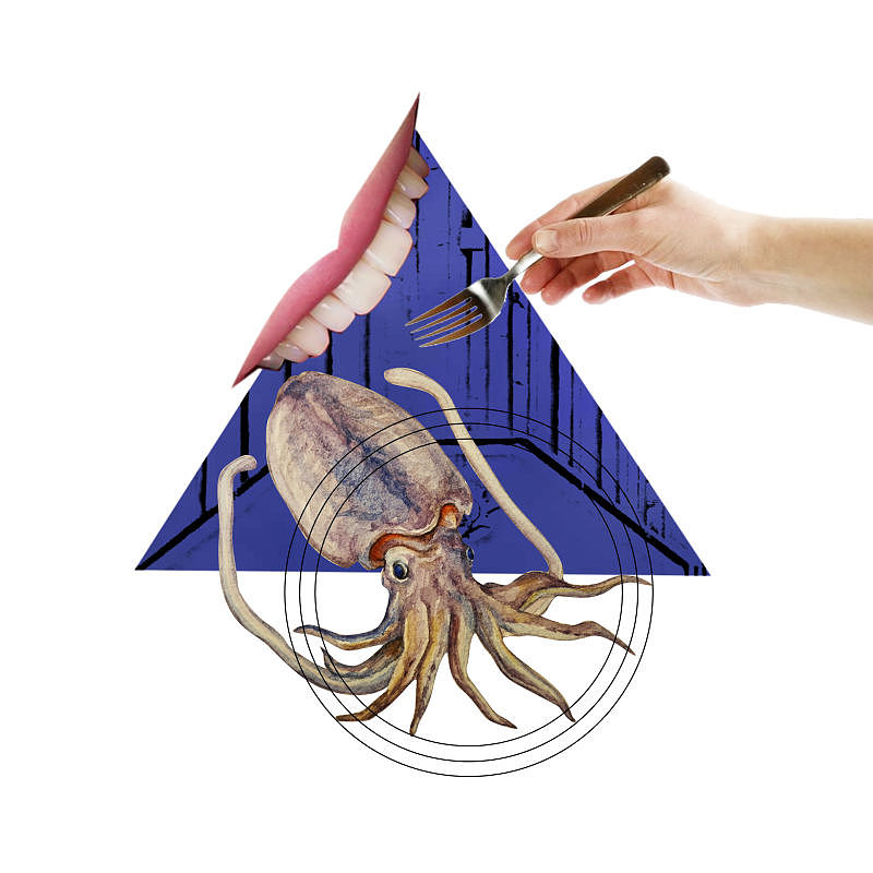 拼贴作品 2015.4（图ZNDQ0MjU5NzI=） - 其他平面 - 站酷设计师阿石原创素材 - 站酷ZCOOL