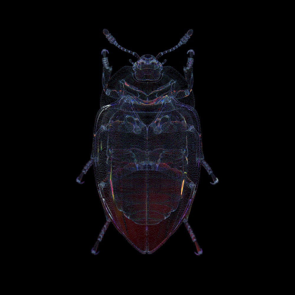 昆虫 魔顿下载的模型 Momentor的教程（图ZMjA2NTU5Mjgw） - 人物/生物 - 站酷设计师源视OV原创素材 - 站酷ZCOOL