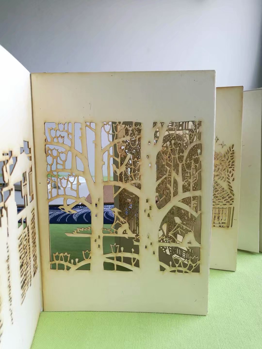 《渭塘遐思》创意镂空书籍设计(课程练习作业)