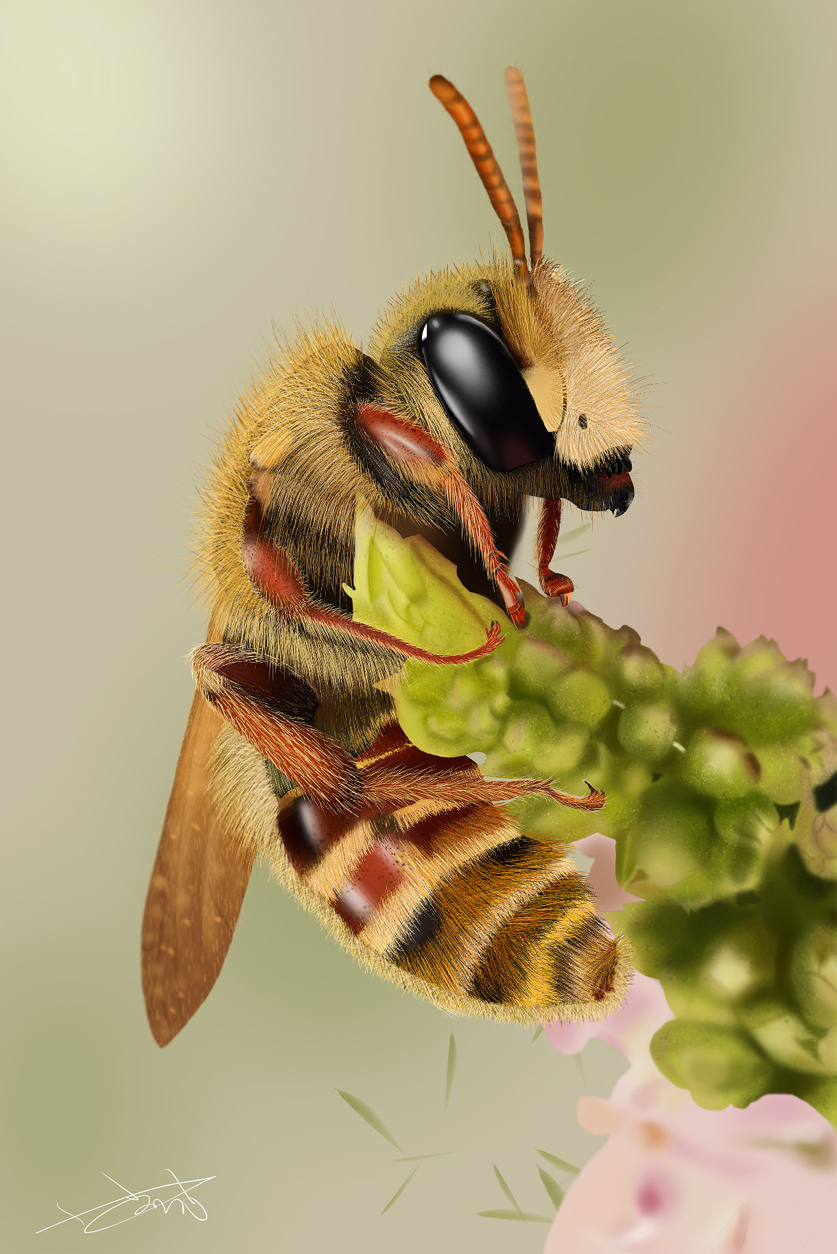 鸭朵殿下蜜蜂蜂王ai小蜜蜂CDR可爱手绘白描PS卡通插画（图ZMjY0ODc3NzA0） - 创作习作 - 站酷设计师鸭朵殿下原创素材 - 站酷ZCOOL